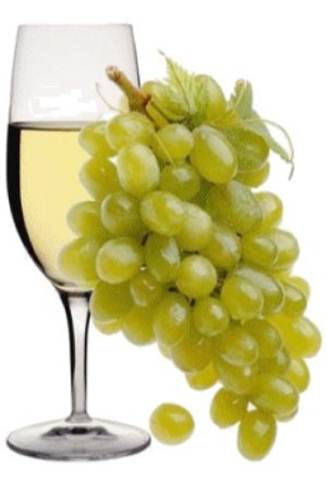 immagini del vino