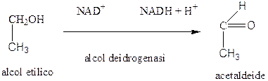 immagini vino