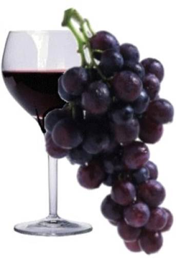 immagini del vino