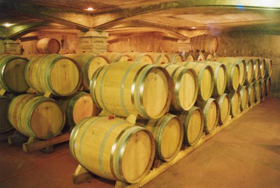 immagini del vino