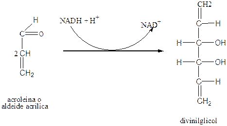 immagini vino