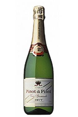 immagini del vino