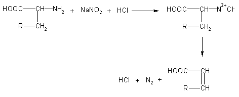 Proteine anaboliche