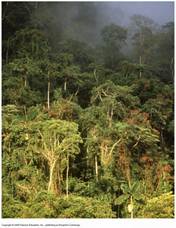 riscaldamento globale global warming
