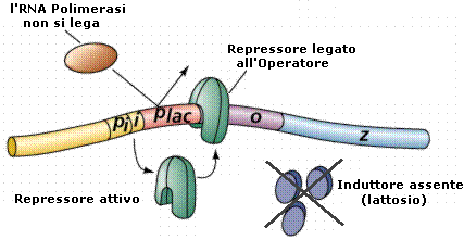 biologia appunti