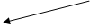 acidi nucleici