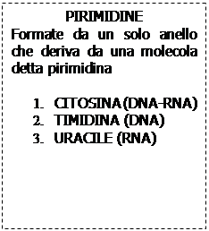 acidi nucleici