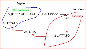 biochimica