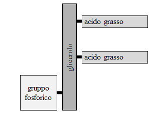 composti organici