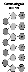 composti organici