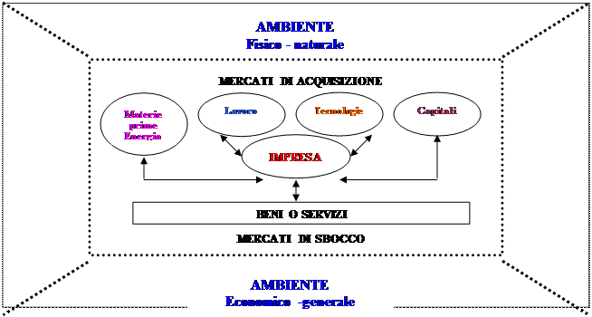 Schema sistema monistico