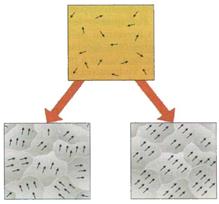 elettromagnetismo