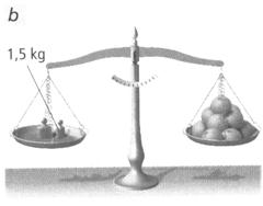 Grandezze_fisiche_e_loro_misura_clip_image004