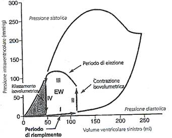 Pressione telediastolica del ventricolo sinistro