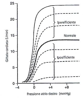 Gittata cardiaca e sistolica