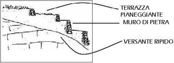 colline