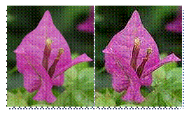 Guida alla fotografia Digitale