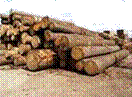 sollecitazioni e sforzi materiali