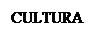 critica letteraria