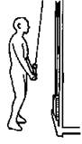 muscoli