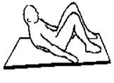 muscoli