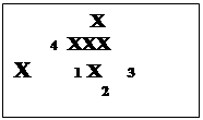 immagini rugby