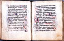 immagini templari sacro graal