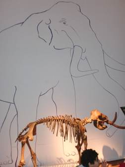 charles darwin
